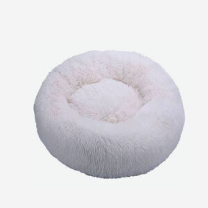 Auis Nostrum Ullamb Velit Esse