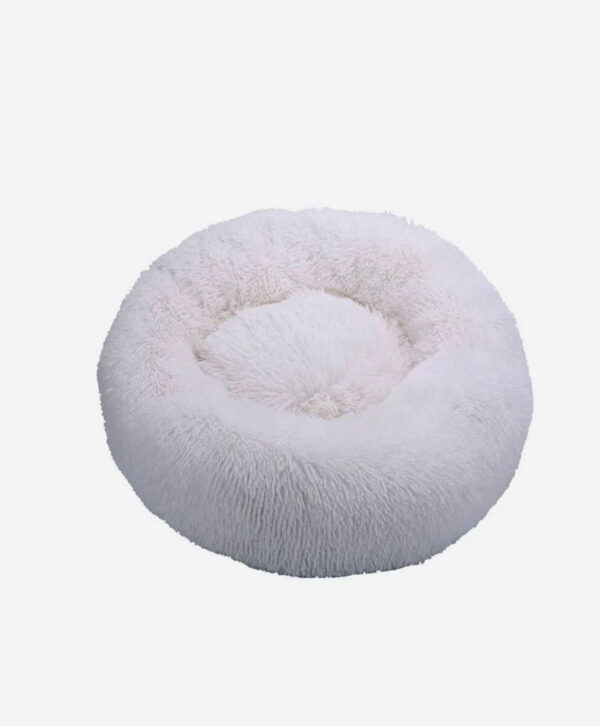 Auis Nostrum Ullamb Velit Esse